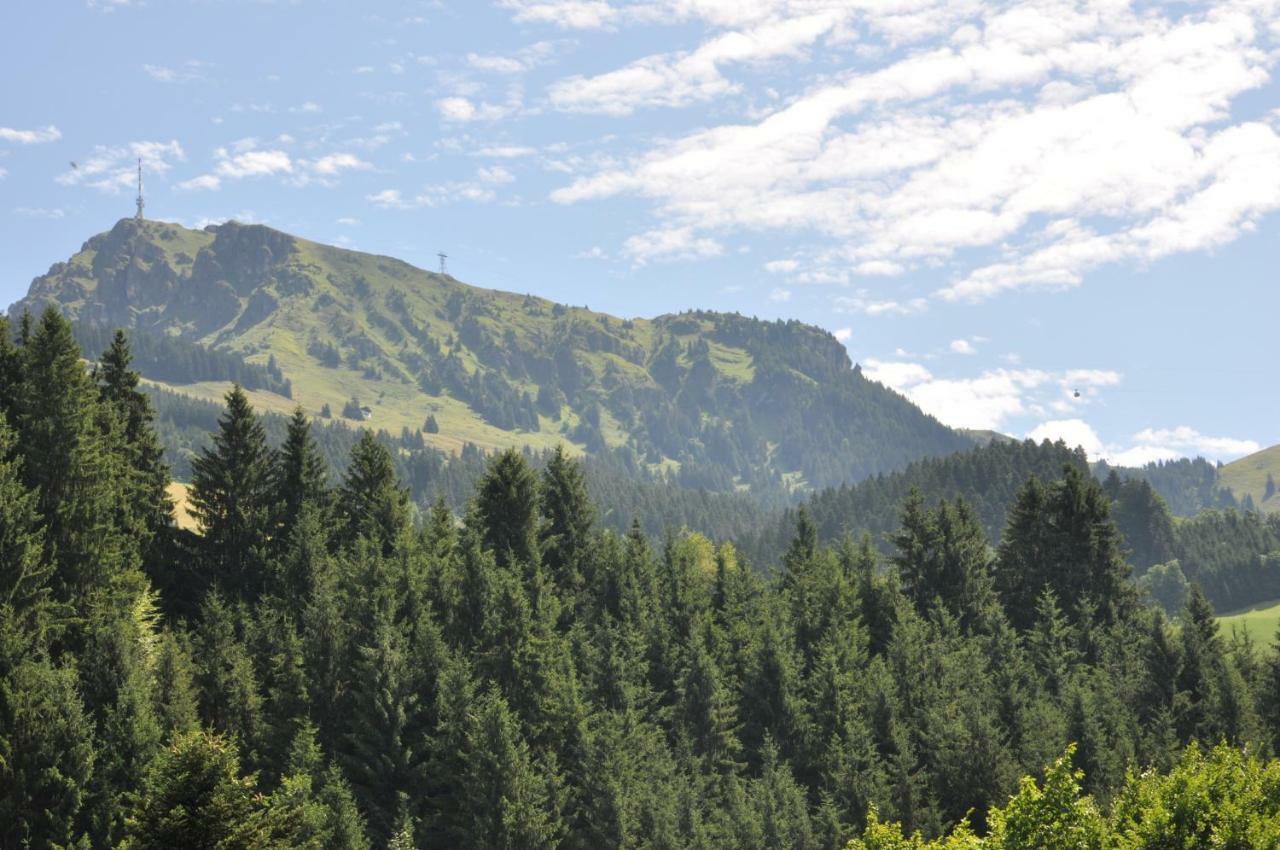 Appartement Kitzbuehel Mit Dachterrasse Εξωτερικό φωτογραφία